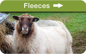 Fleeces s